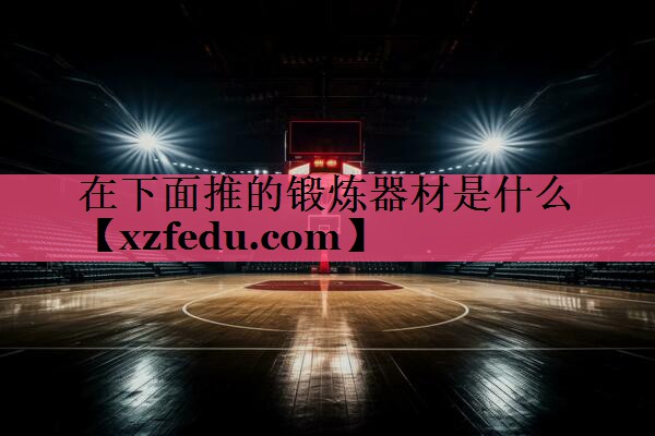 在下面推的锻炼器材是什么