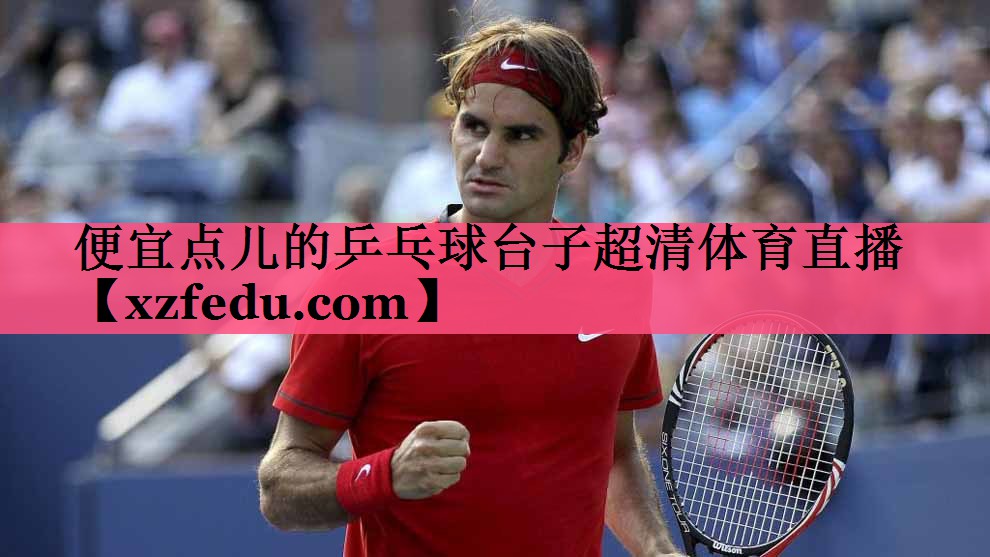 便宜点儿的乒乓球台子超清体育直播