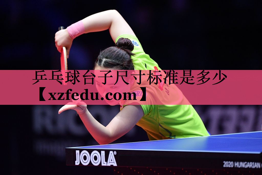 乒乓球台子尺寸标准是多少