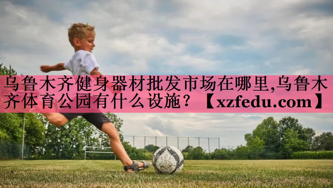 乌鲁木齐健身器材批发市场在哪里,乌鲁木齐体育公园有什么设施？