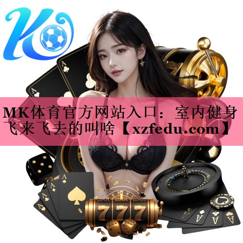 MK体育官方网站入口：室内健身飞来飞去的叫啥