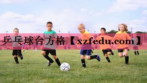 乒乓球台方格
