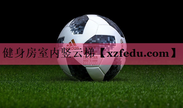 健身房室内竖云梯