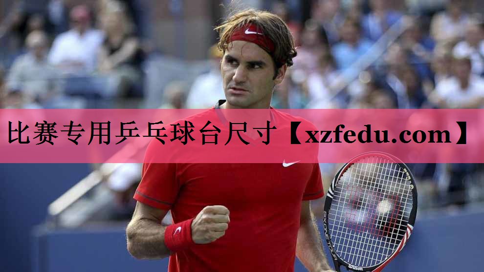 比赛专用乒乓球台尺寸