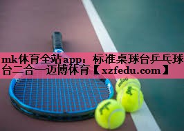mk体育全站app：标准桌球台乒乓球台二合一迈博体育