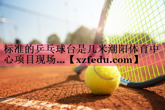 标准的乒乓球台是几米潮阳体育中心项目现场…