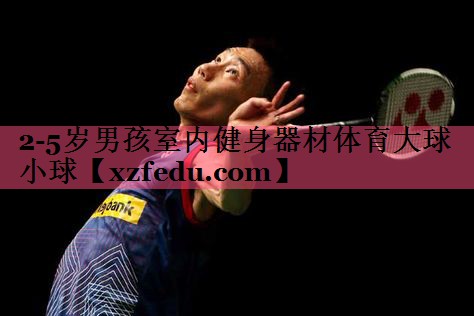 2-5岁男孩室内健身器材体育大球小球