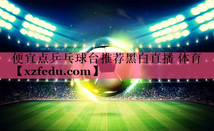 便宜点乒乓球台推荐黑白直播 体育