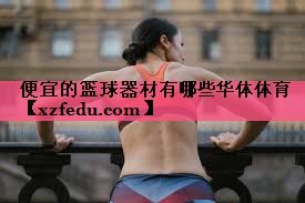 便宜的篮球器材有哪些华体体育