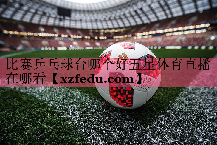 比赛乒乓球台哪个好五星体育直播在哪看