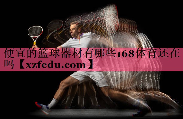 便宜的篮球器材有哪些168体育还在吗