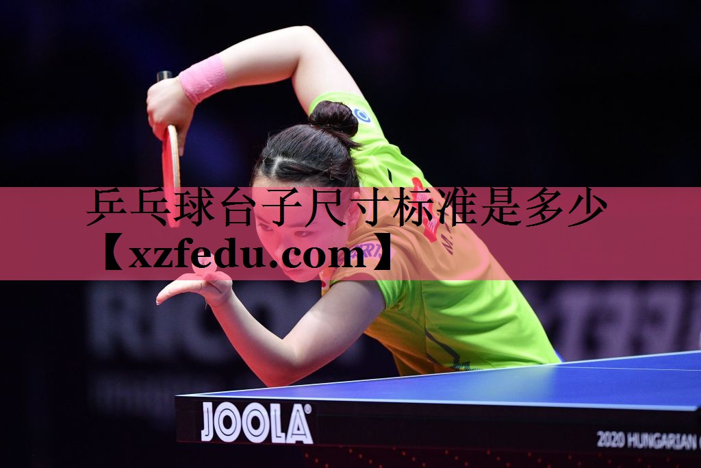 乒乓球台子尺寸标准是多少