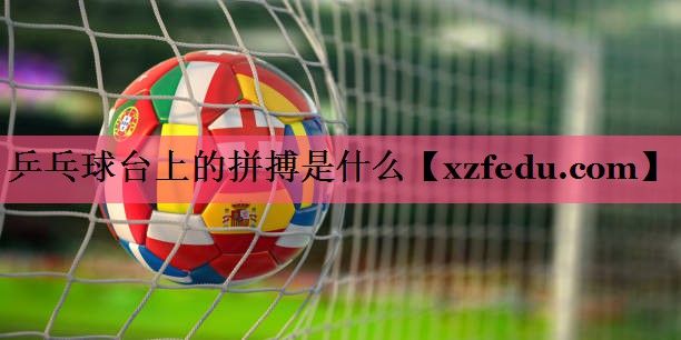 乒乓球台上的拼搏是什么