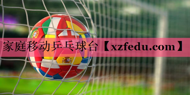 家庭移动乒乓球台