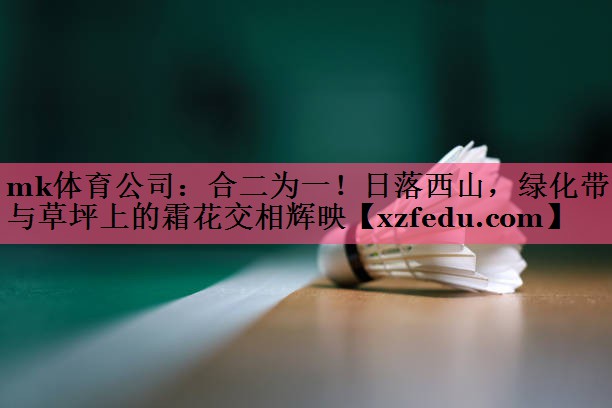 合二为一！日落西山，绿化带与草坪上的霜花交相辉映