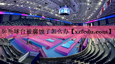 乒乓球台被腐蚀了怎么办