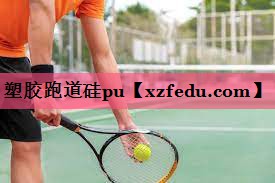 塑胶跑道硅pu