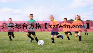 乒乓球台方格