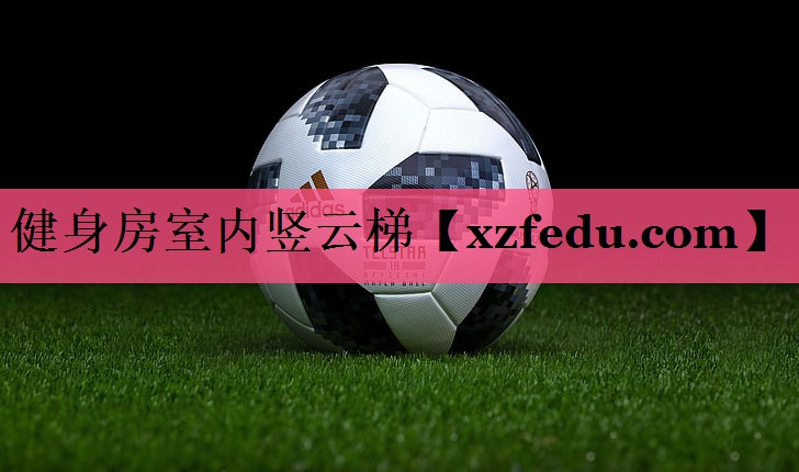 健身房室内竖云梯