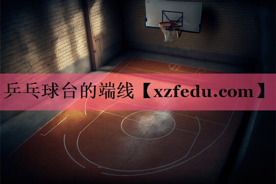 乒乓球台的端线