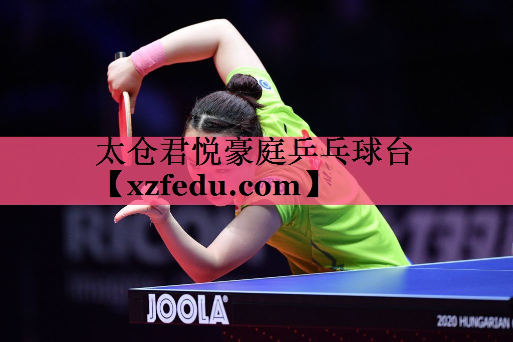 太仓君悦豪庭乒乓球台